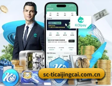 体彩竞猜 APP 深度功能